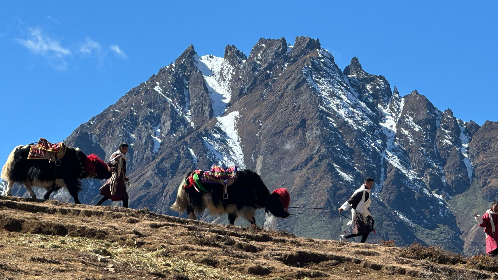 Yaks and herders walking beneath a dramatic snow-capped Himalayan peak